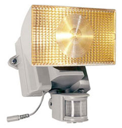 Motion-Activated Halogen Solar Security Floodlight