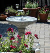 Solar Powered Birdbath Fountain