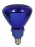Creative Energy Technologies Inc: 23 Watt Blue Compact Fluorescent Flood Light