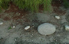 Glow Stones - Motion Activated Garden Lighting 