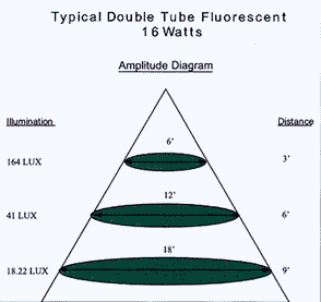 Energy Efficient Lighting: Cold Cathode Fluorescent Interior DC Lighting