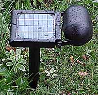 Solar LED Adjustable Directional Light